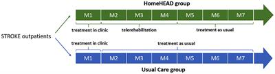 Virtual Reality for Motor and Cognitive Rehabilitation From Clinic to Home: A Pilot Feasibility and Efficacy Study for Persons With Chronic Stroke